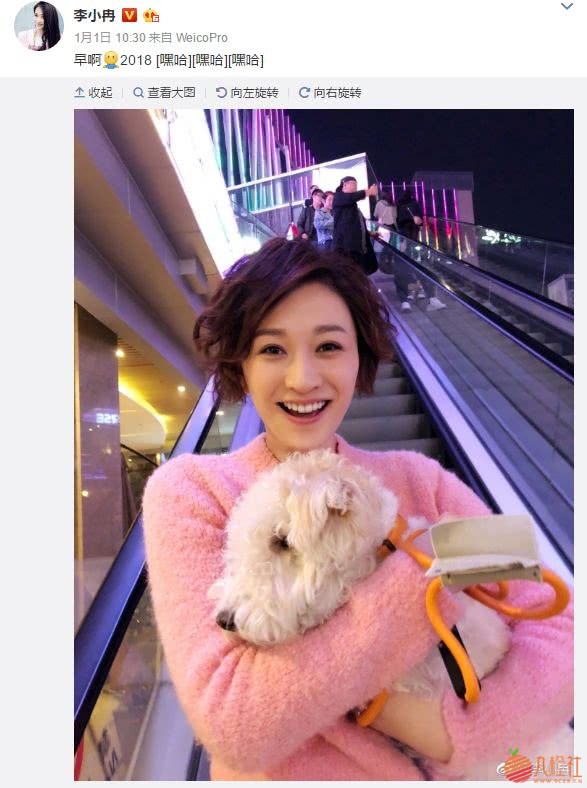 “李小璐夜会PGone”扯出个1400万公关费?王思聪和李小冉趟浑水?