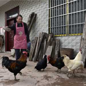 泸州：从贫困户到“脱贫明星”经历3次人间惨剧击不倒6旬翁