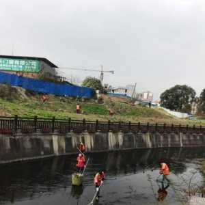 泸州：红星街道开展玉带河环境卫生治理行动