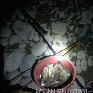 泸州查获今年禁渔期第一起电鱼案件