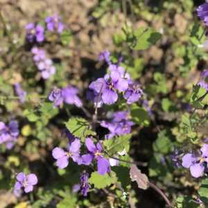 5月正式开放！泸州郊游又有一个新去处！