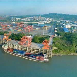 “绿化泸州行动”2017年义务植树千万株