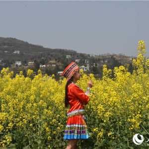 泸州古蔺县双沙镇第十一届菜花旅游文化开放月开幕