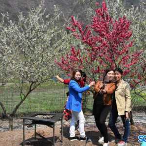 泸州古蔺：春回大地景色美 田园生活受青睐