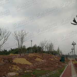 全长6.8公里双向8车道 泸州“最美机场路”6月亮相