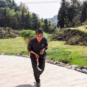 【我奋斗 我幸福】泸州“养牛倌儿”的脱贫奋斗记