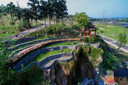 泸州植物园内景色宜人 川江都市报记者 王雨航 摄