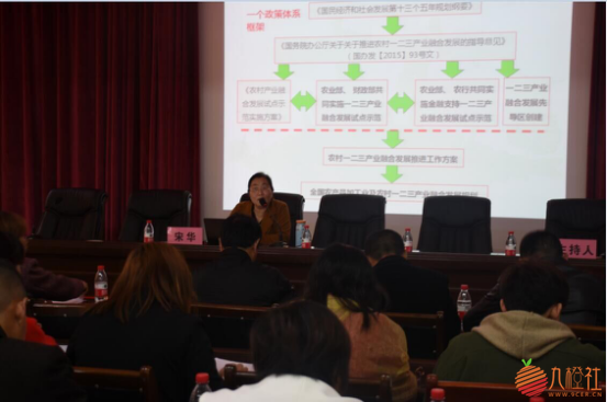 四川省泸州市2018年众创智慧行动惠及合江农业项目