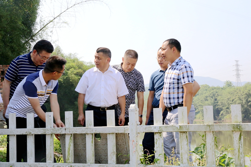 泸县：县政协主席李镇率队督导濑溪河河长制落实情况