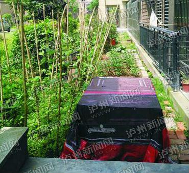 至今未整改 泸州一小区业主圈地种菜还建房