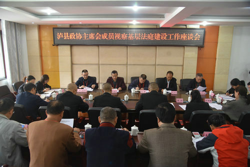 泸县政协主席会议成员视察县人民法院工作