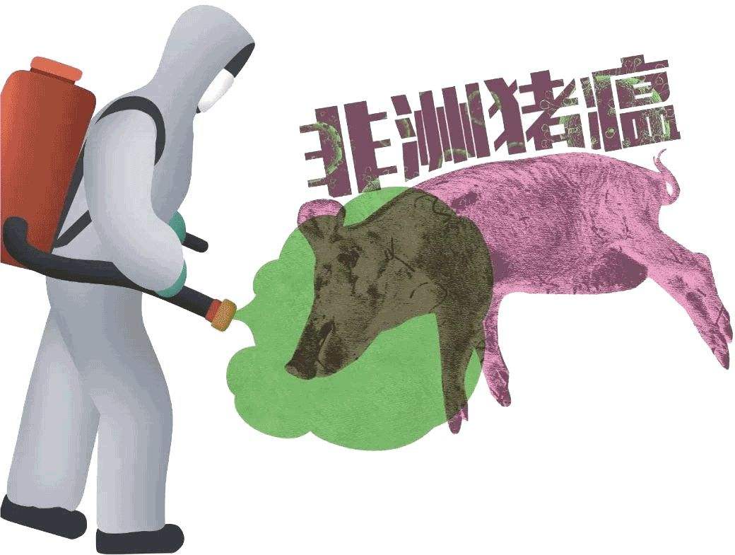 合江县农业局针对非洲猪瘟疫情网友普遍关心的问题发布《非洲猪瘟防控20问》