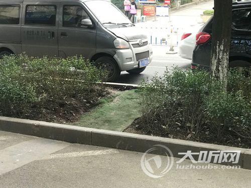 泸州：商家图方便 让绿化带成了“绿化道”