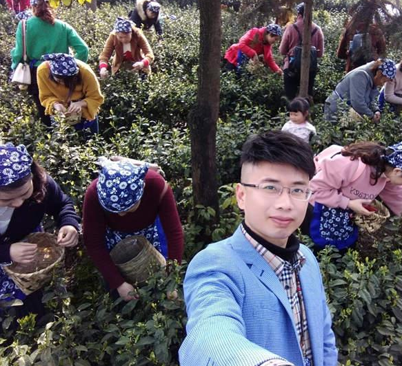 泸州：茶山情歌飘幸福 网络红人助增收