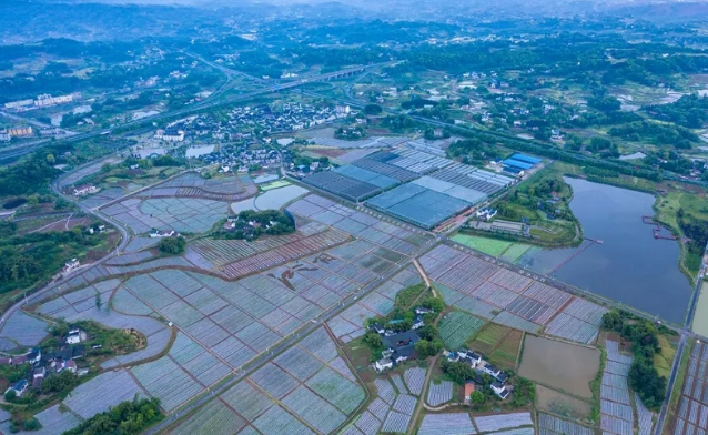 福利——刷脸卡，388路免费载你游蔬式小镇！