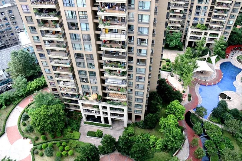 巩固创建成果丨“文明小区”钟鼓世家，“管治”得道人人夸！