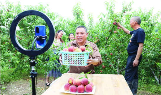 “土专家”直播带货 帮农户卖出近万元黄桃