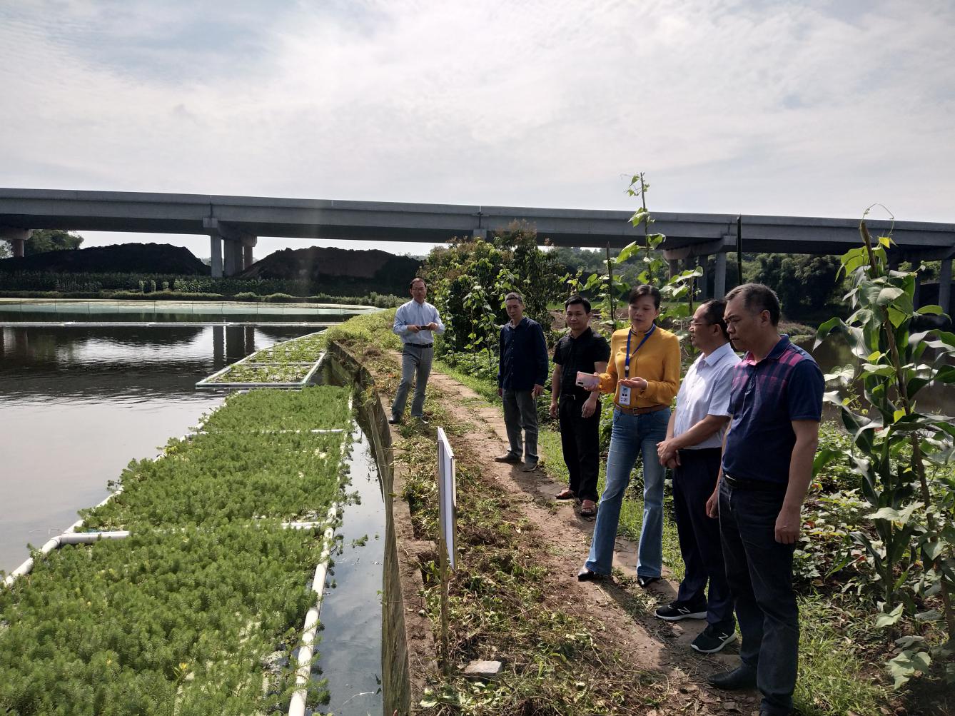 市农业农村局督导濑溪河和龙溪河流域水产养殖污染防治工作