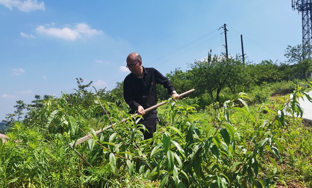 泸县：驻村工作5年，林树伦成为最美石桥人