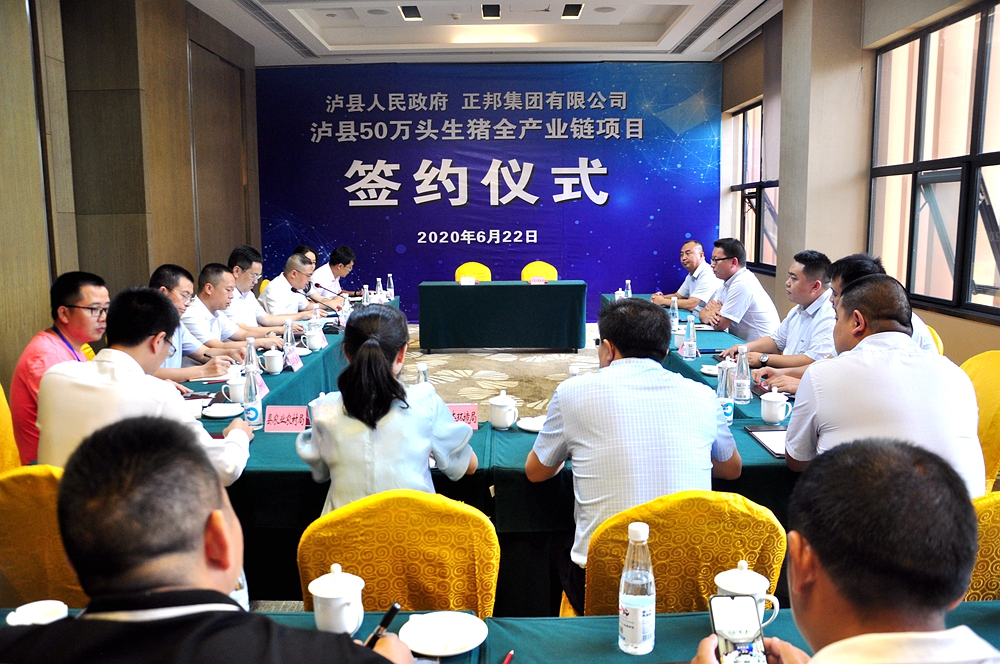 泸县成功签约50万头生猪全产业链项目