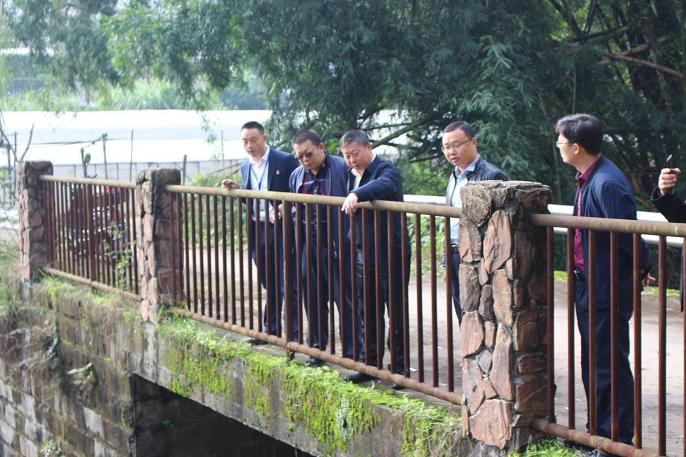 泸县委常委、县总工会主席杨双全率队督导 小鹿溪河河长制工作