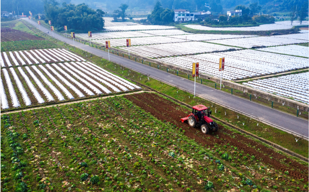 幸福江阳：全域旅游加持