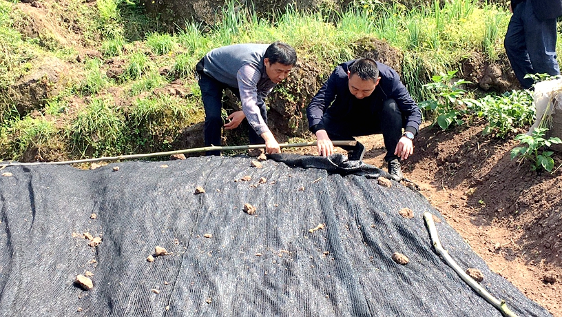 立石镇：订单农业不愁销 千亩高粱播种育苗备春耕