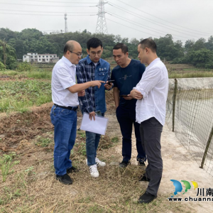 泸县自然资源和规划局完成耕地卫片监督图斑核查工作