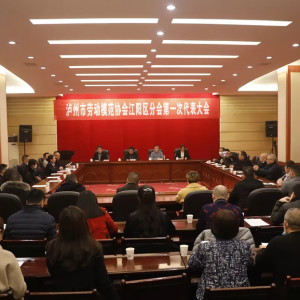 泸州市劳模协会江阳区分会成立