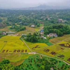 创建天府旅游名县丨万象“耕”新，总要来一趟合江白米吧！