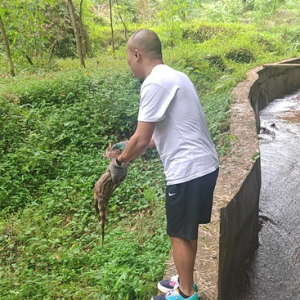 叙永县向林镇：放生野生动物，助力生态文明建设