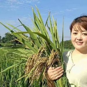 泸县：农民工返乡创业成果酒城优品“再生稻米”入选“蜀创优品”