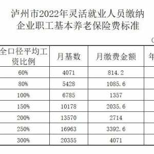 泸州2022年灵活就业人员养老保险缴费标准公布，分七个档次