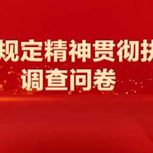 中央八项规定精神贯彻执行情况调查问卷