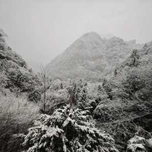 今天，合江下雪啦！